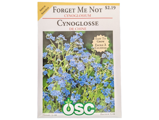 Forget Me Not Cynoglossum