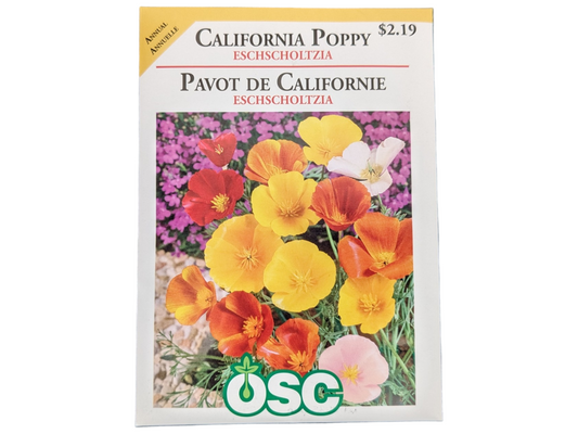 California Poppy Eschscholtzia