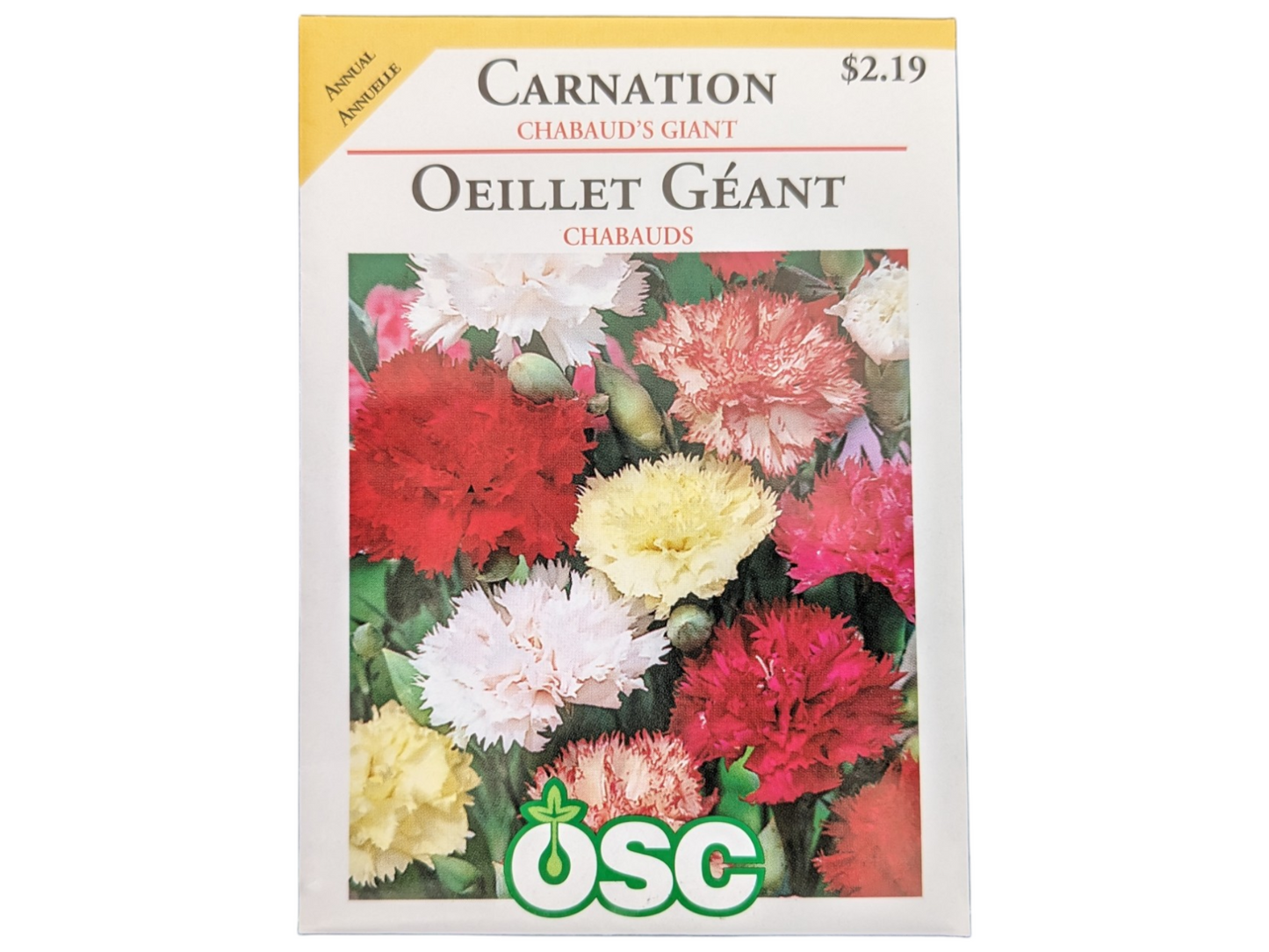 Carnation Chabaud's Giant
