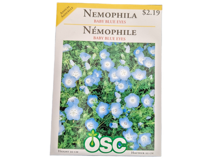 Nemophila Baby Blue Eyes