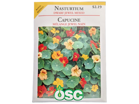 Nasturtium Dwarf Jewel Mixed