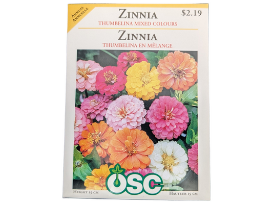 Zinnia Thumbelina Mixed Colours