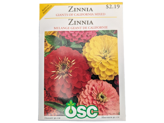 Zinnia Giants of California Mixed