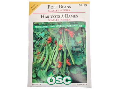 Pole Beans Scarlet Runner