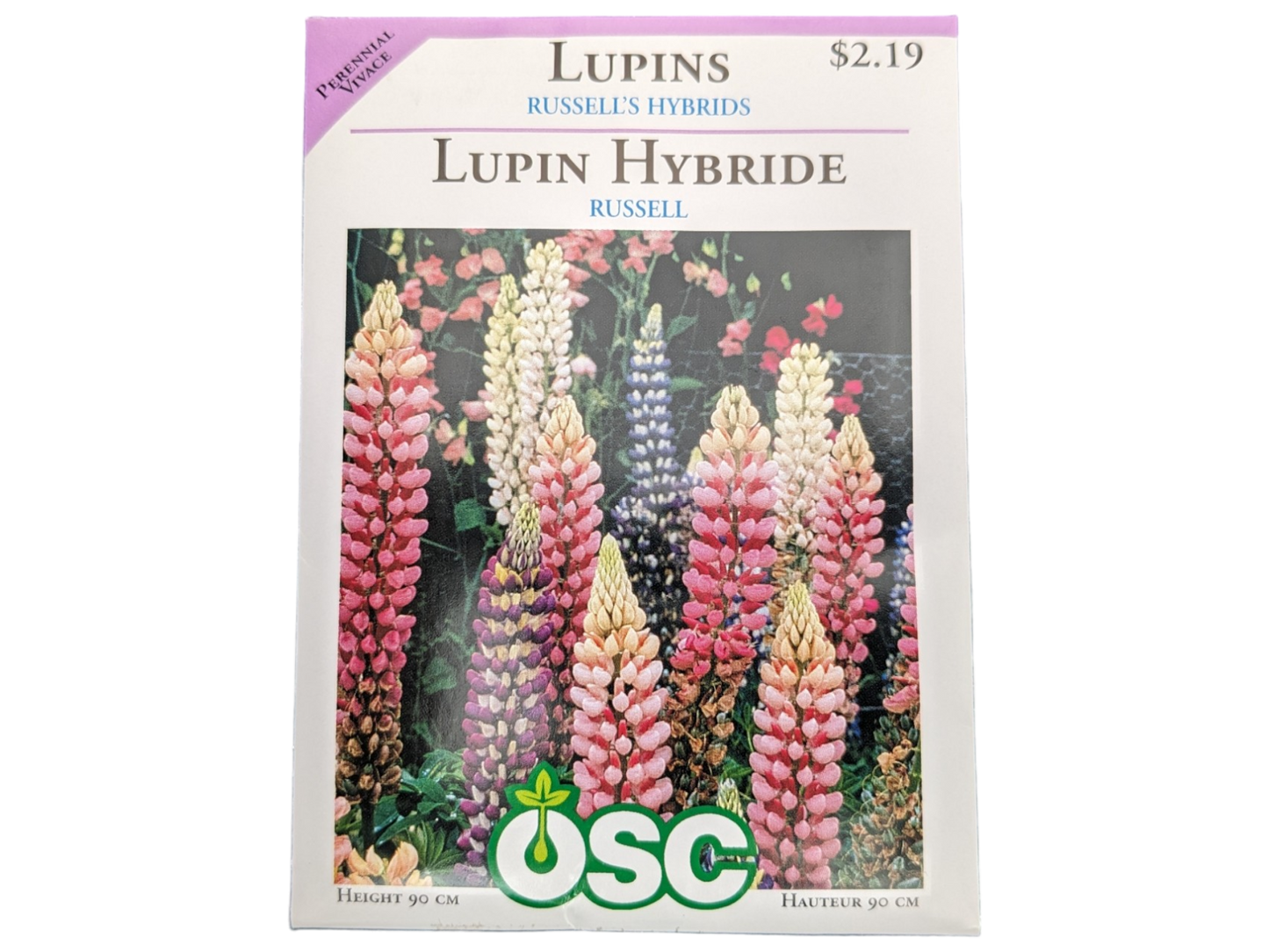 Lupins Russell's Hybrids