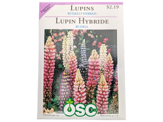 Lupins Russell's Hybrids