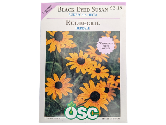 Black-Eyed Susan Rubeckia Hirta