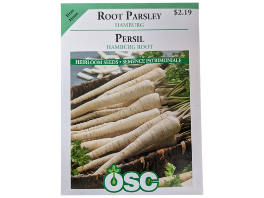 Root Parsley Hamburg