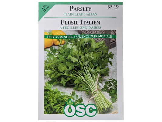 Parsley Plain Leaf Italian