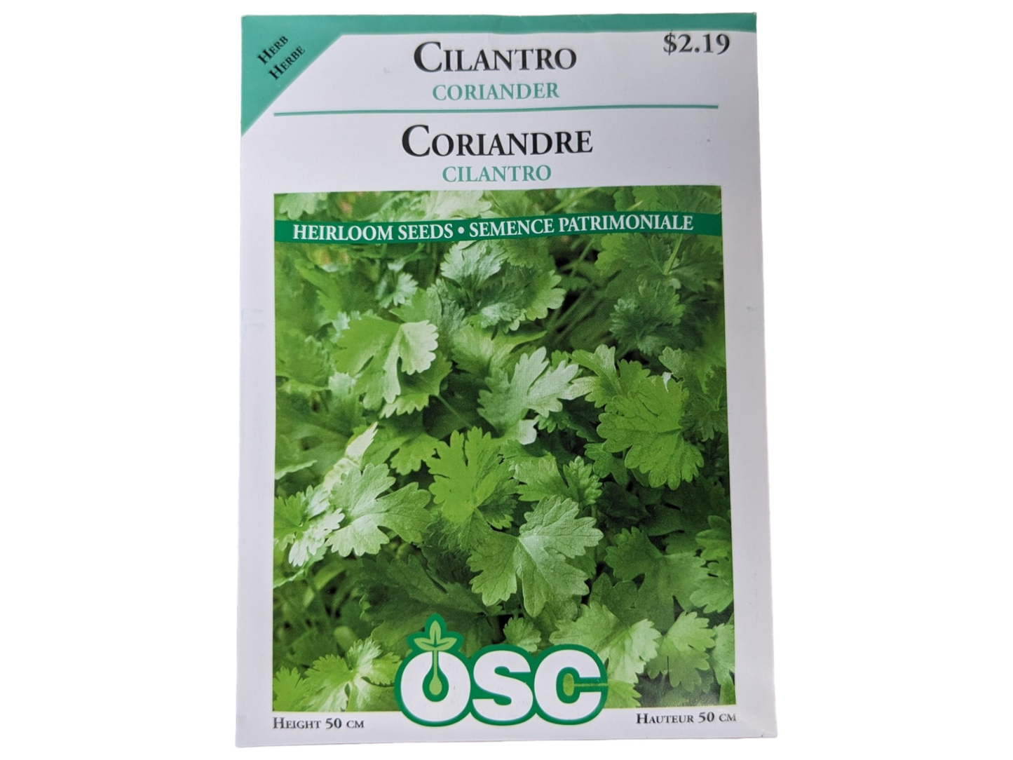 Cilantro Coriander