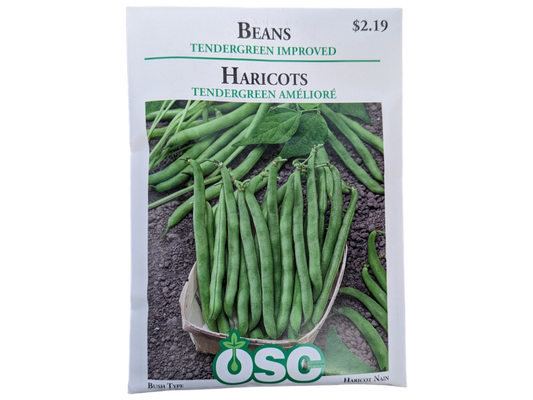 Beans Tendergreen Improved