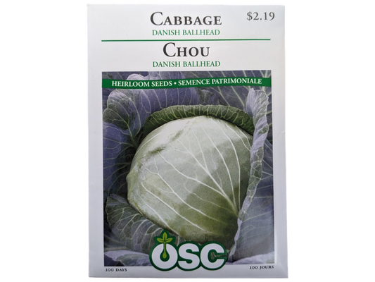 Cabbage Danish Ballhead