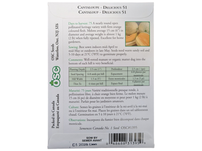 Cantaloupe Delicious 51