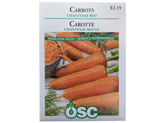 Carrot Chantenay Red