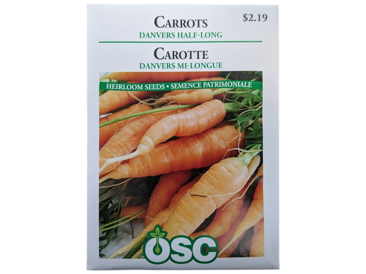 Carrots Danvers Half-Long