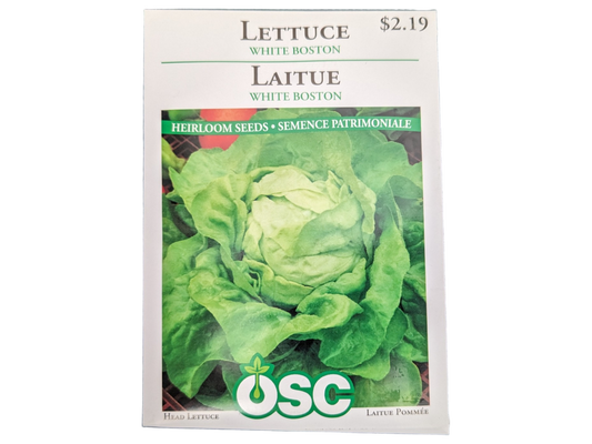 Lettuce White Boston