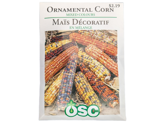 Ornamental Corn Mixed Colours