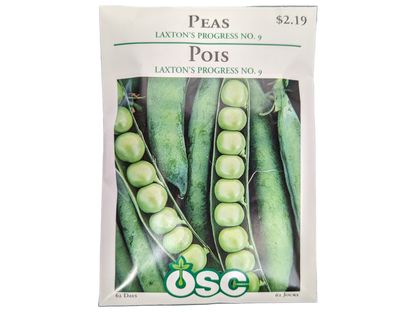 Peas Laxton's Progress NO. 9