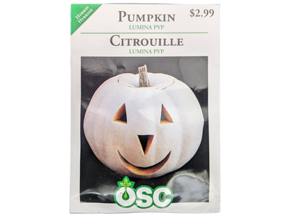 Pumpkin Lumina PVP