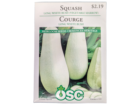 Squash Long White Bush (Vegetable Marrow)