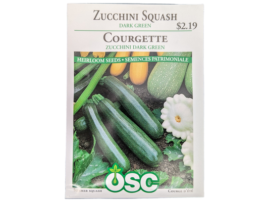 Zucchini Squash Dark Green