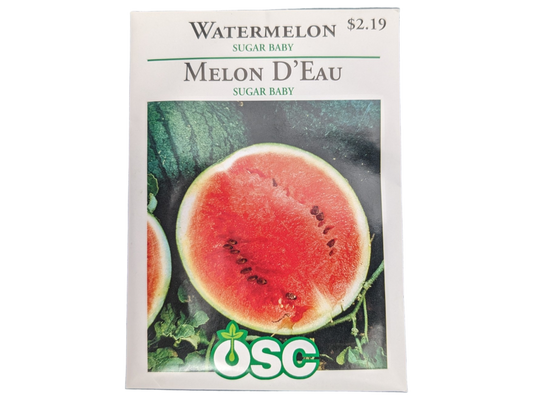 Watermelon Sugar Baby