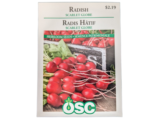 Radish Scarlet Globe