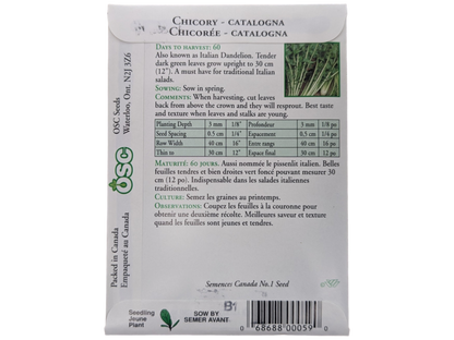 Chicory Catalogna