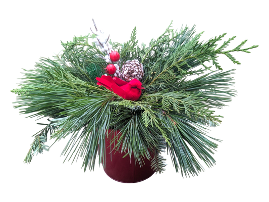 6" Tin Pot Christmas Planter