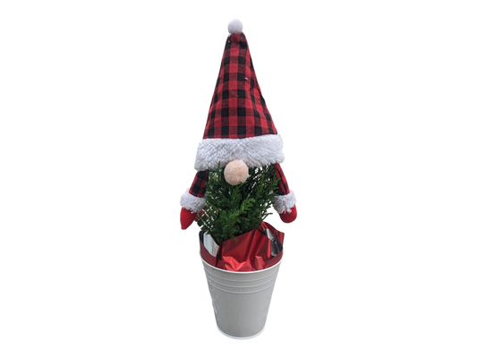 5" Gnome Tree