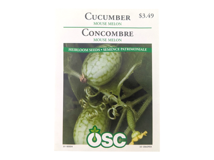 Cucumber Mouse Melon