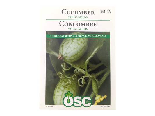 Cucumber Mouse Melon