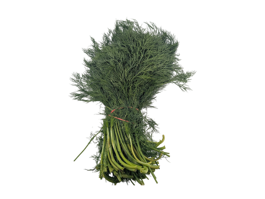 Local Fresh Dill