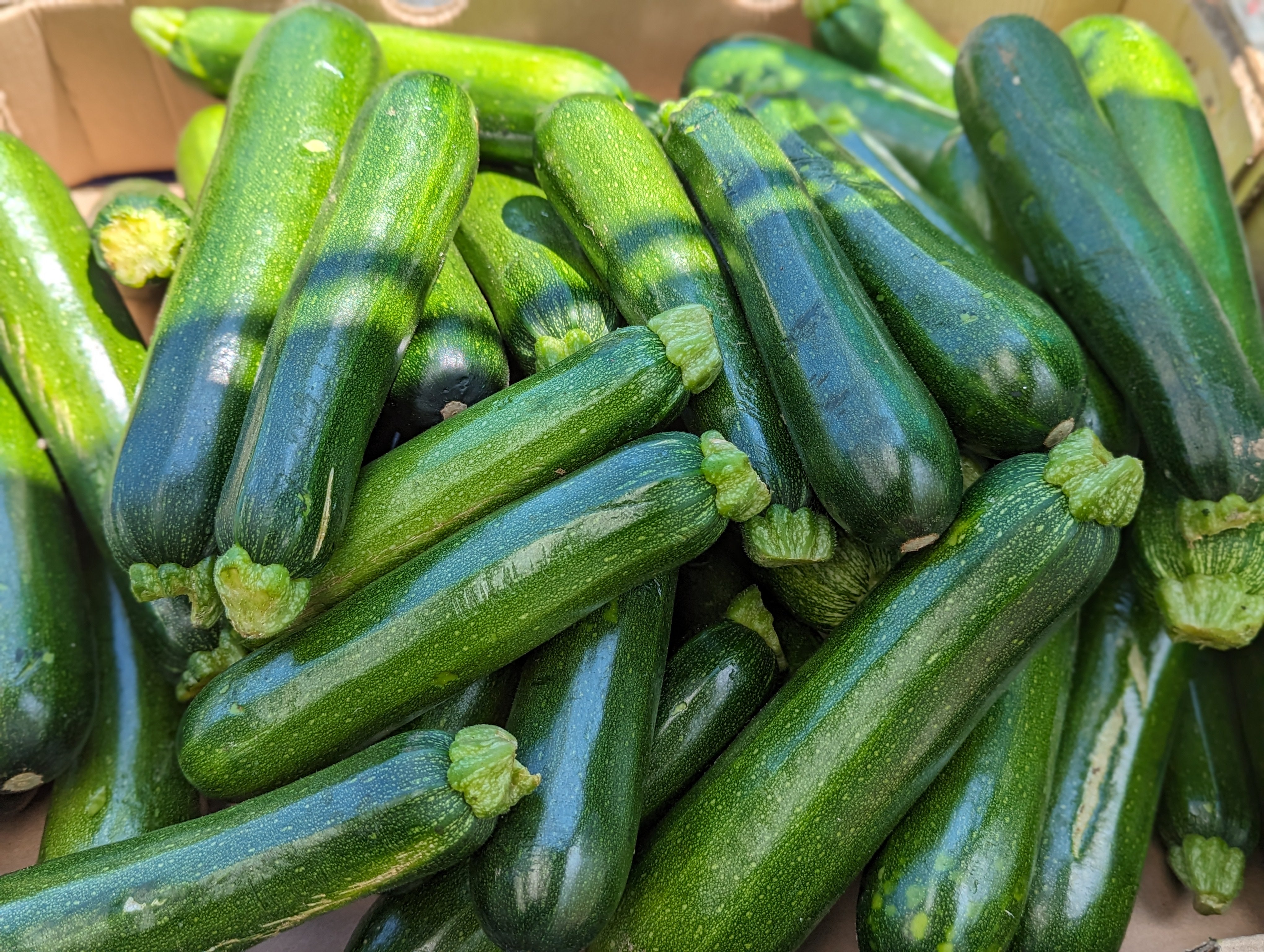 1/2 Bushel Local Zucchini Niagara Fresh Market