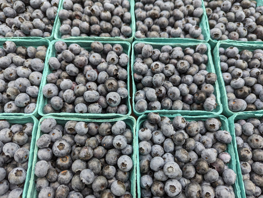 Local Blueberries