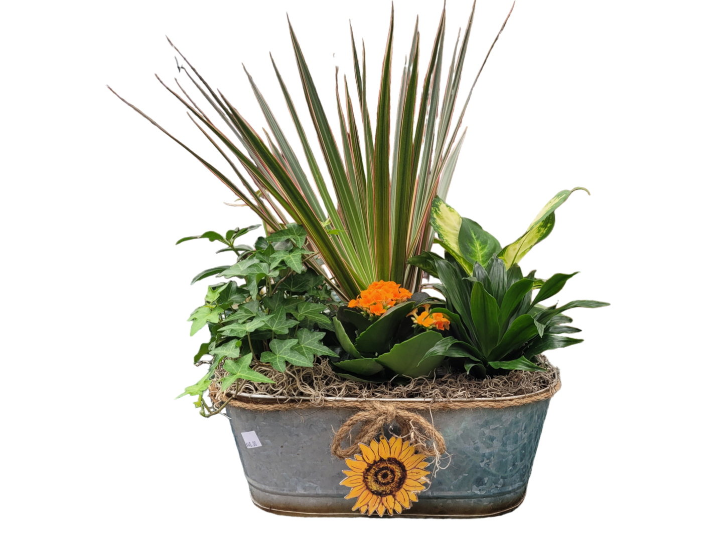 Tropical planter (Oval Tin)