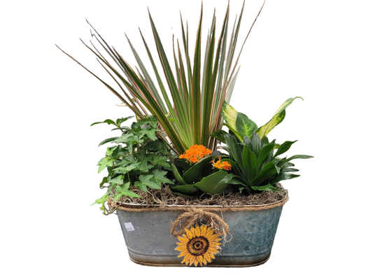 Tropical planter (Oval Tin)