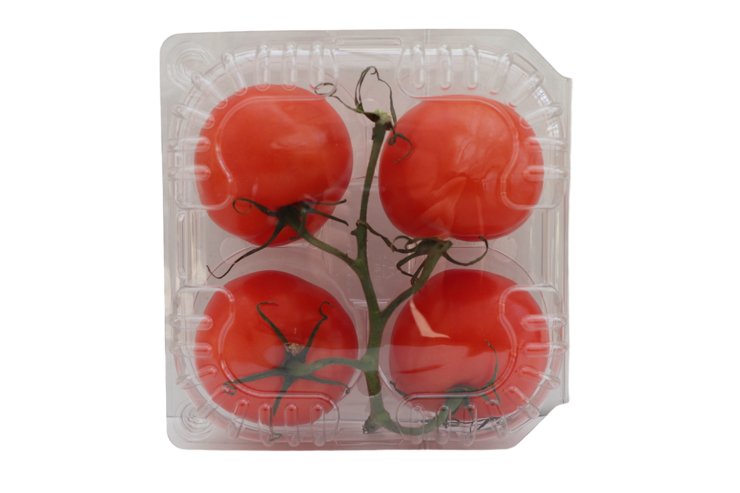 4 Pack of Tomatoes