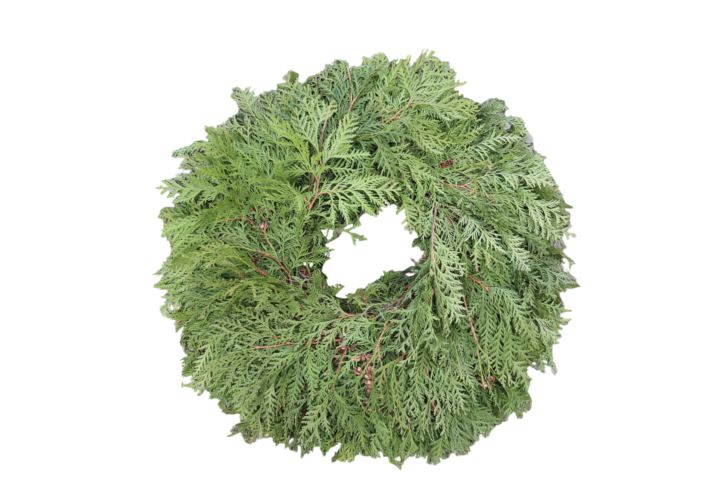 8” Wreaths