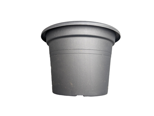 Tereplast 12" Black Round Plastic Pot