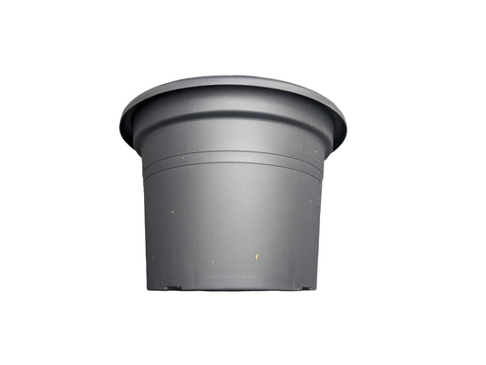 Tereplast 10" Black Round Plastic Pot