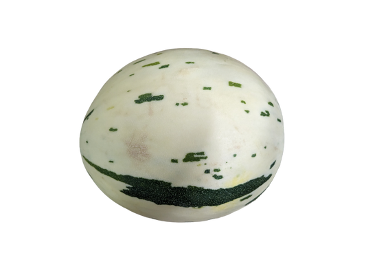 Dino Melon