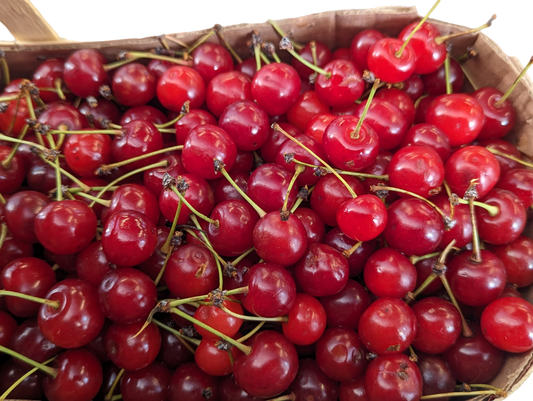 Local Sour Cherries