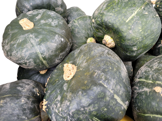 Buttercup Squash - Local