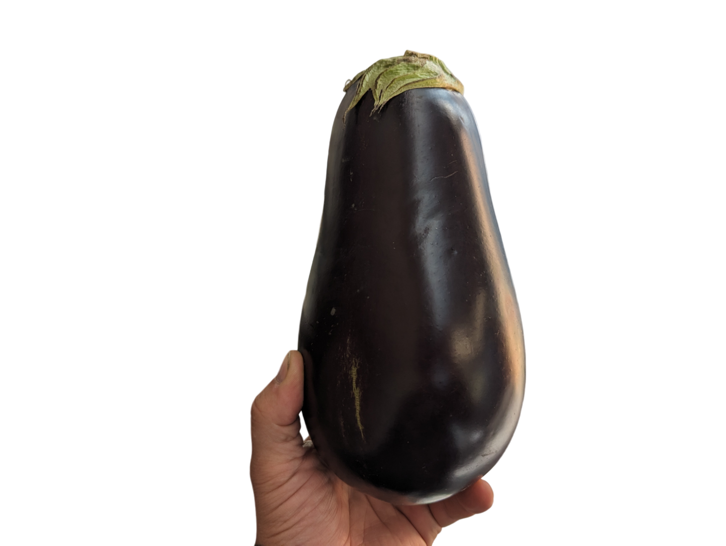 Eggplant - Local