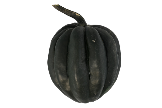Acorn Squash
