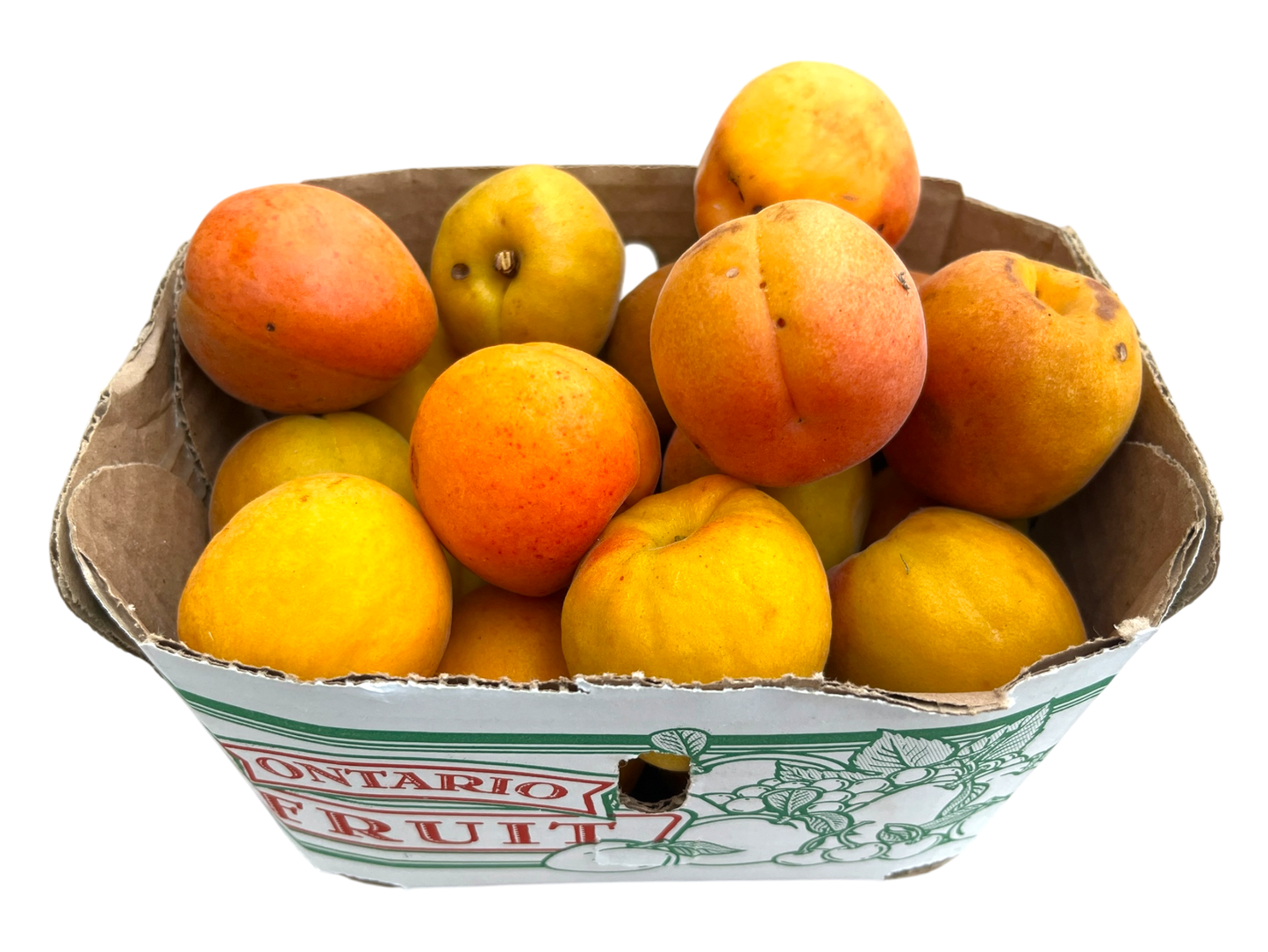 Apricots - Local