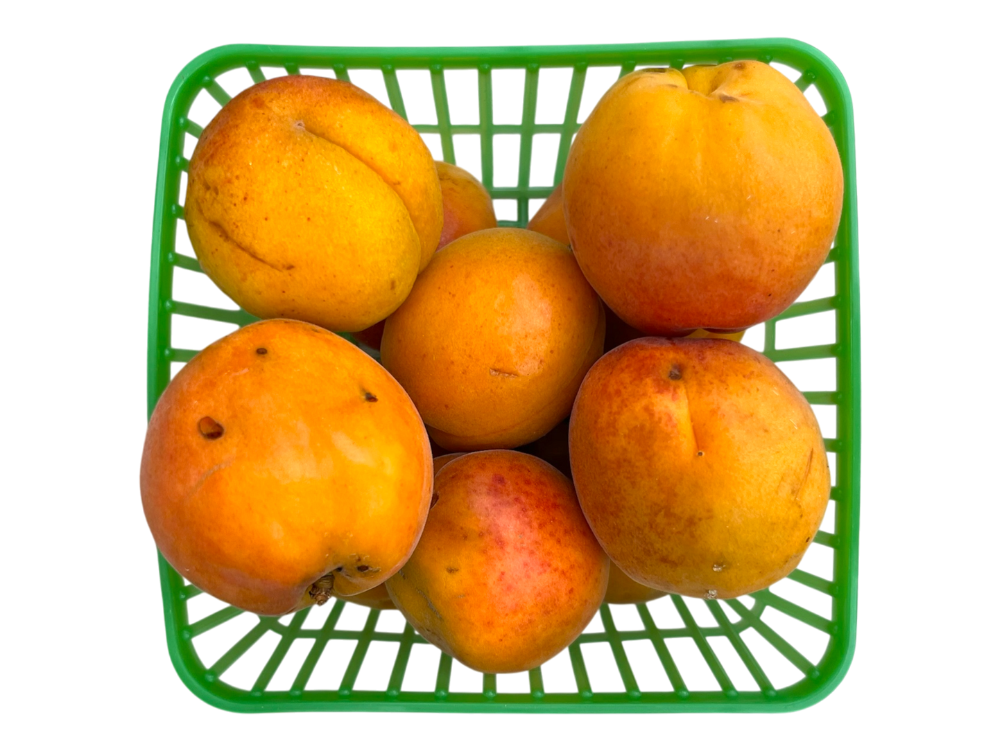 Apricots - Local