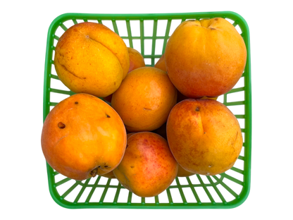 Apricots - Local