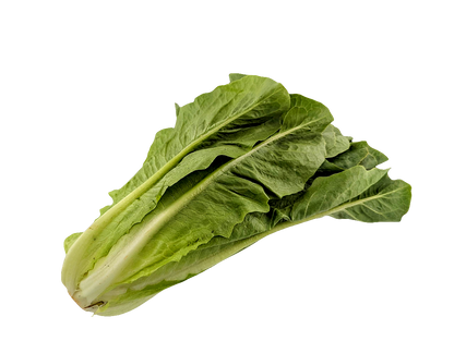 Romaine Lettuce - Local